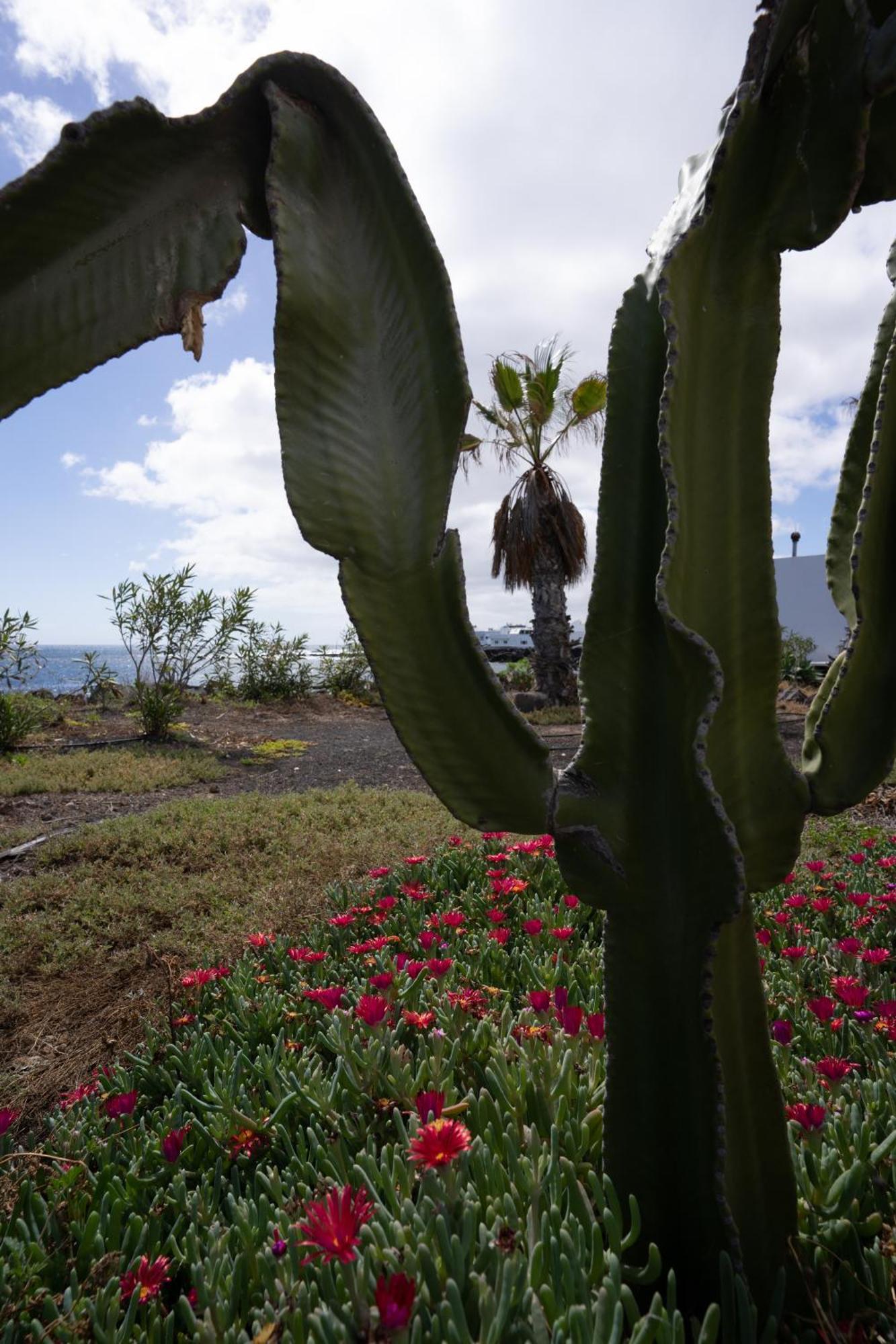 Casa La Seba Villa Punta Mujeres Luaran gambar